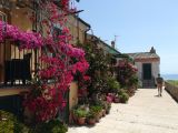 Un dettaglio floreale di Termoli con la vista al mare