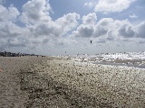 Una delle spiagge di Zandvoort