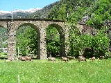 Famoso viadotto elicoidale nella tratta del trenino rosso tra Tireno - St. Moritz