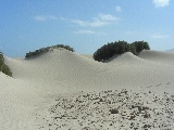 Il relitto è circondato dalle strane dune con la chioma