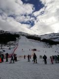 Bormio 2000 - piste da sci