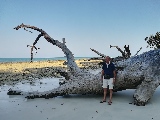 Una zona distrutta dal tsunami nel 2004