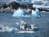 Iceberg nella laguna