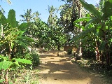 Una strada del villaggio