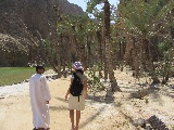 Palme di Wadi Shab
