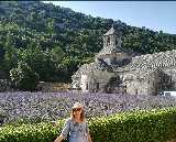 Abbazia di Sénanque con i campi di lavanda