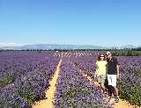 Noi due in un campo di lavanda