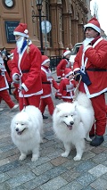 Babbi Natale pronti per la corsa