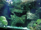 Acquario Fluviale di Saragozza