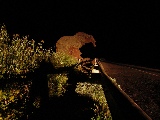 Monumento naturale Roccia dell'Elefante