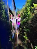 Sporgersi fuori treno è vietato, o quasi