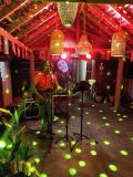 Un musicista reggae che suonava nel bar