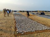 Pesce essiccato al mercato di Negombo