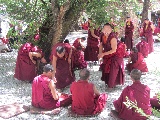 Dibattito teologico tra i monaci tibetani