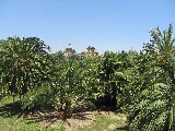 Alveo del fiume Tùria diventato un parco